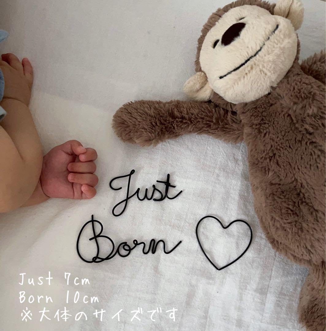 m.m　ワイヤーアート　JUST BORN days weeks 恐竜 今日は4年前に市展で入選した#恐竜 の#トリケラトプス の作品